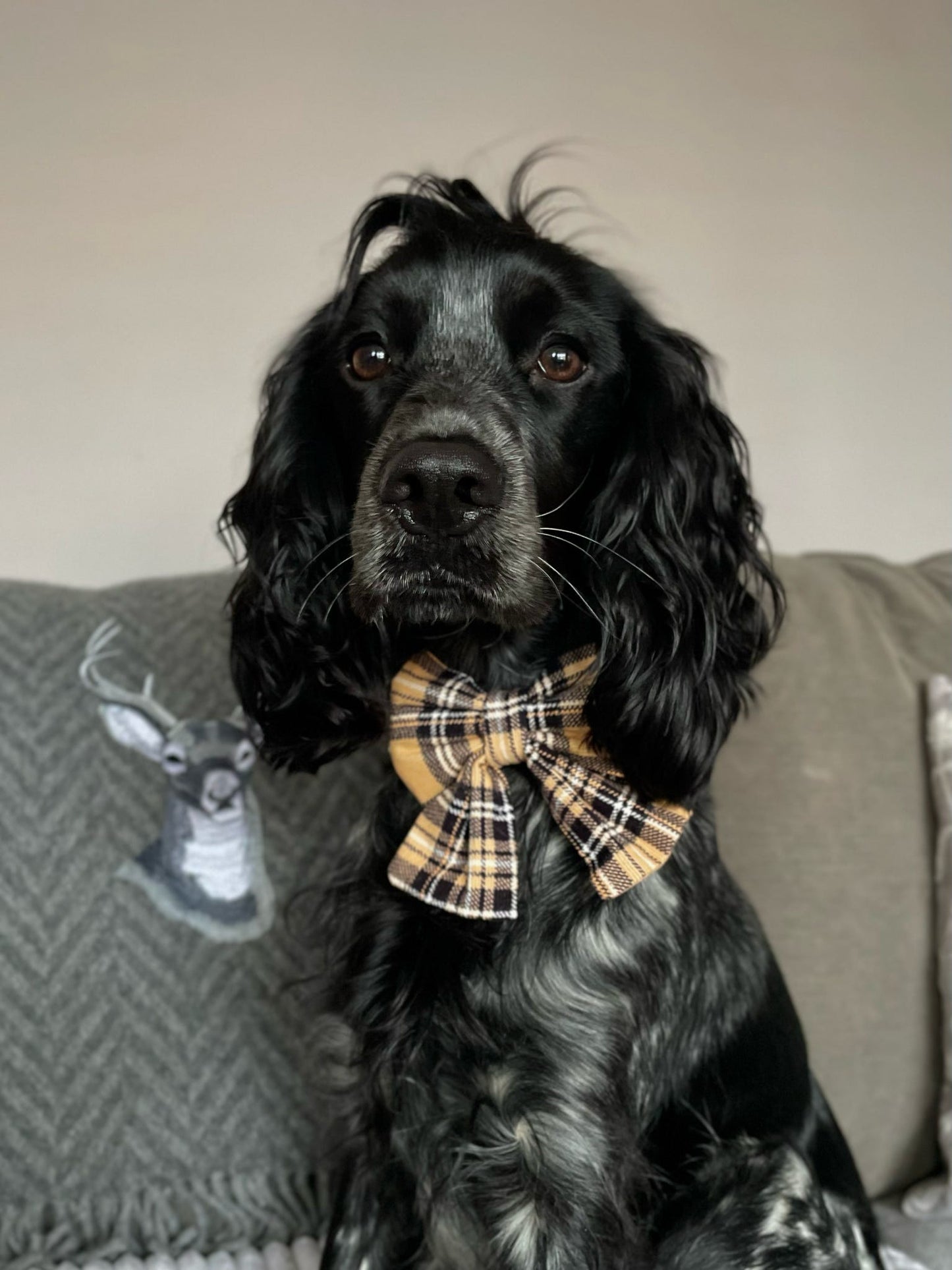 Timeless Tartan Bow