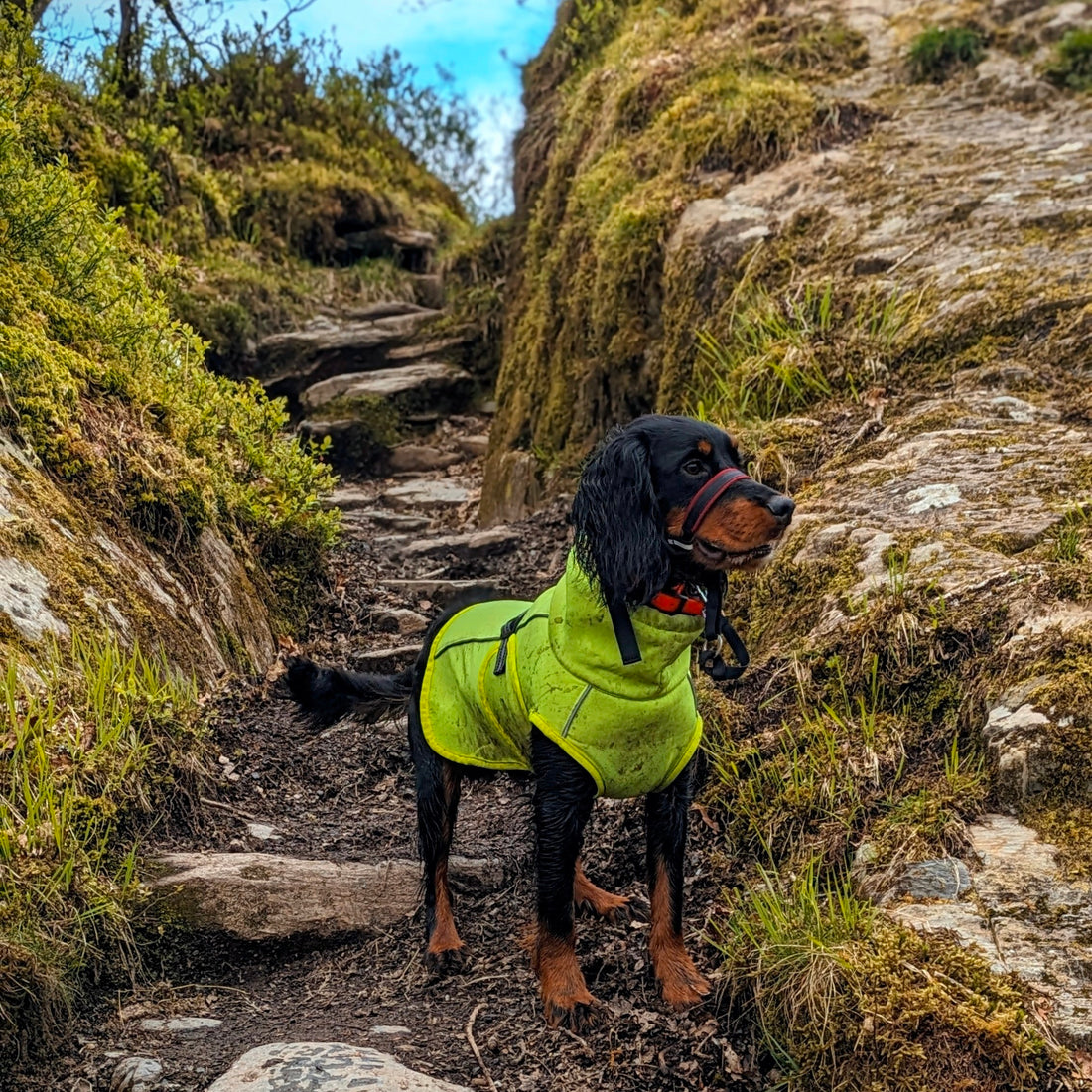 Oggy's Outdoor Adventures - Capel Curig