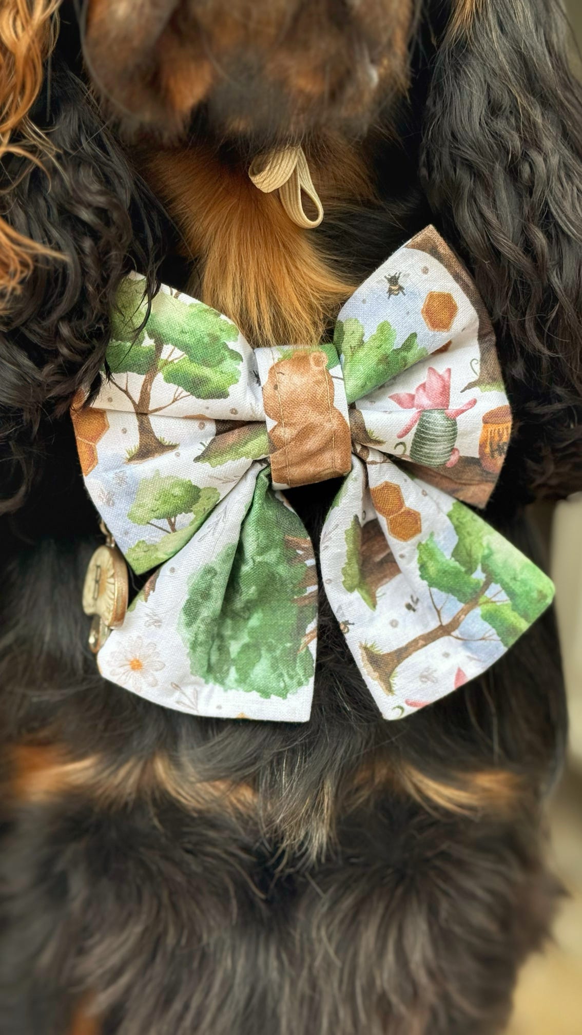 Bows