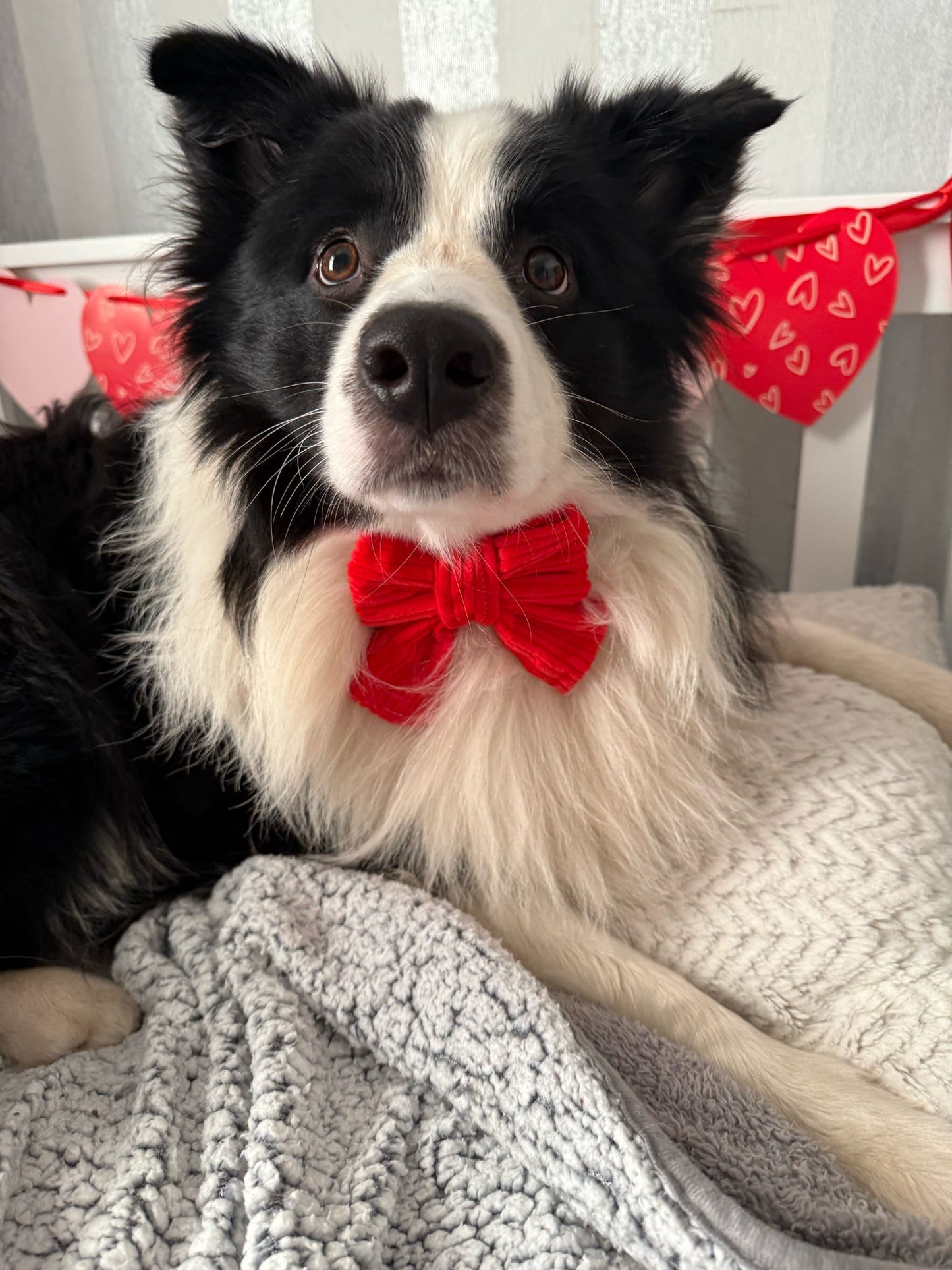Be Mine Bow