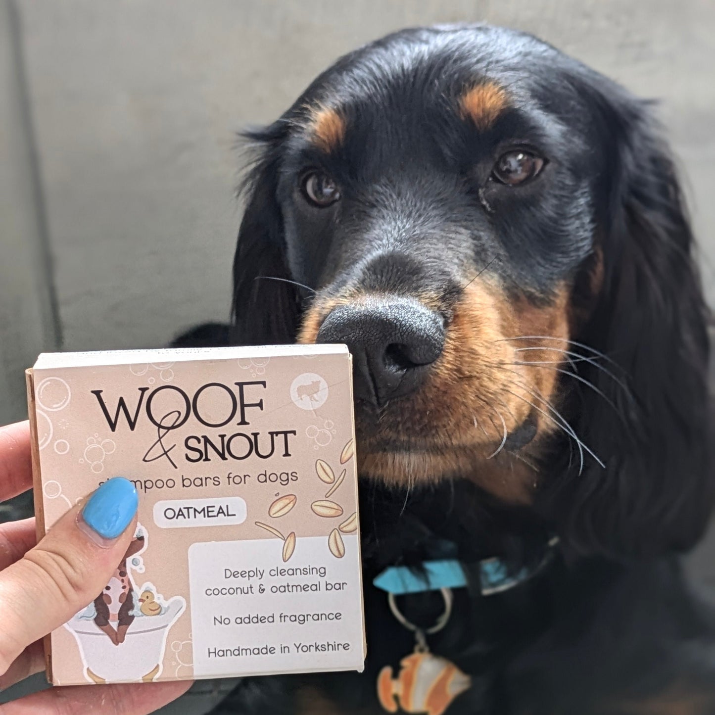 Oatmeal Dog Shampoo Bar